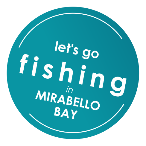fishing trips mirabello bay